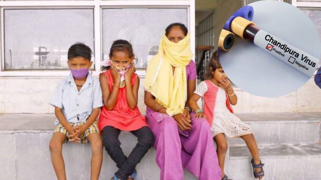 3 kids die of Chandipura virus in Gujarat as screening ramps up