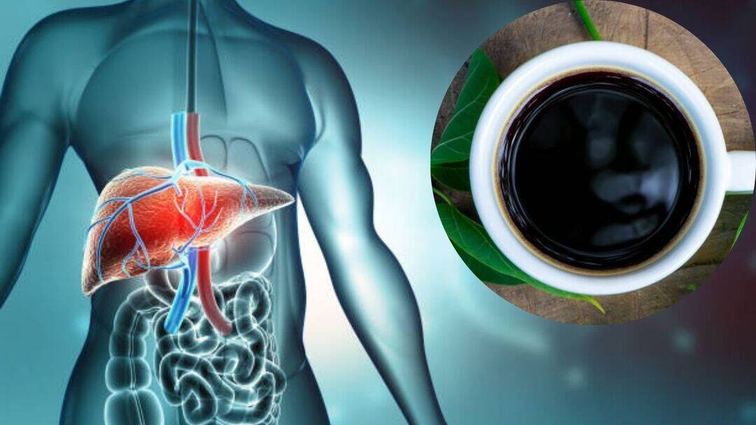 5 or more cups of coffee daily linked to lower liver risk: Study