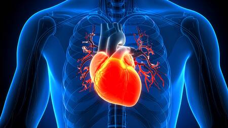 Beta-blockers may not benefit all heart failure patients: Study