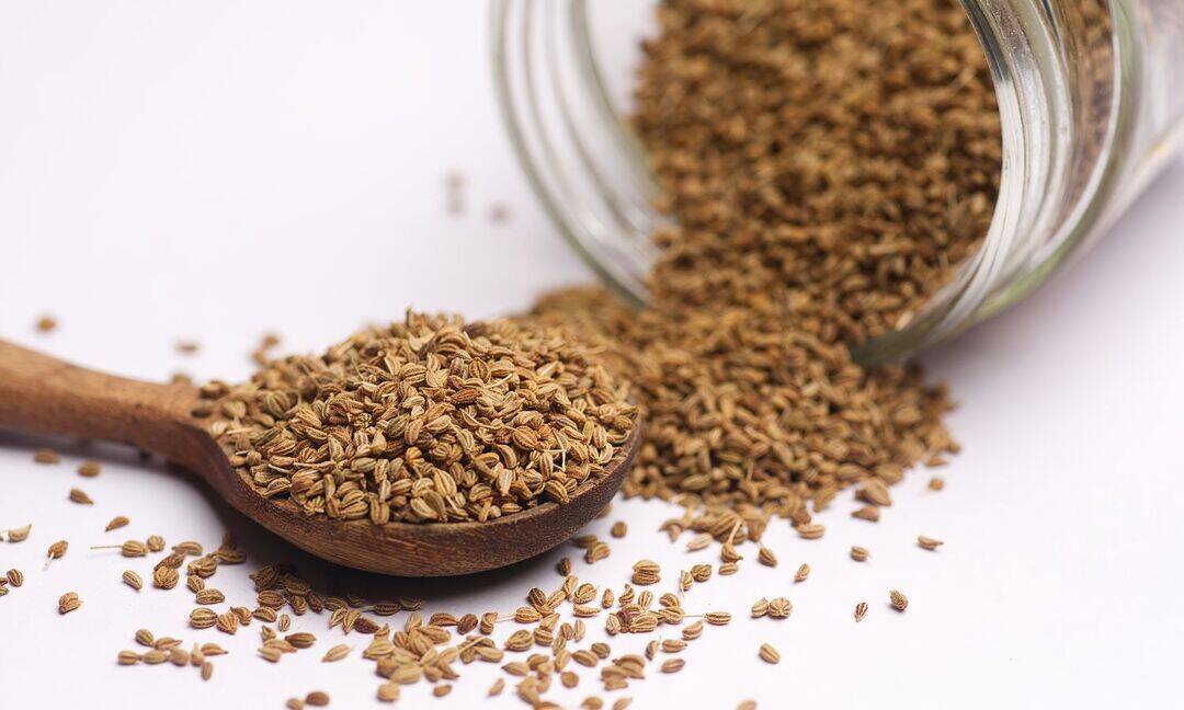 Ajwain may help ease migraine symptoms: Experts