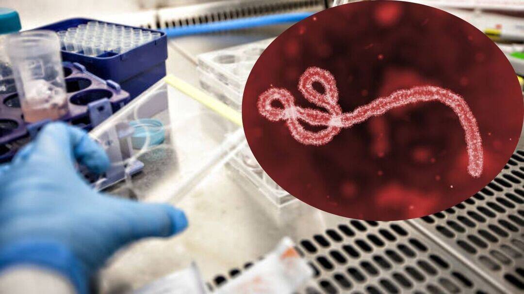 Oxford, Serum Institute launch first trial for new Ebola vaccine