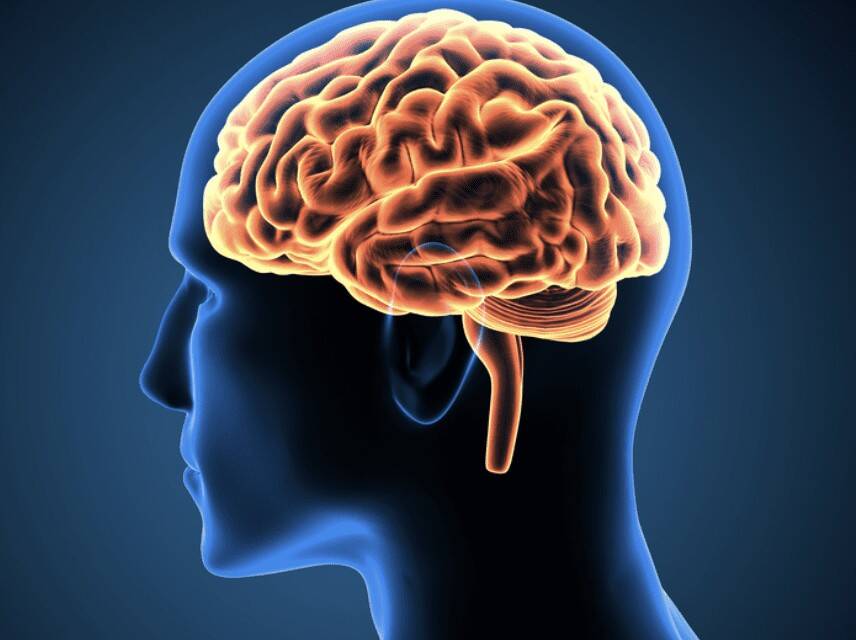 AI tools may increase dementia risk; experts warn