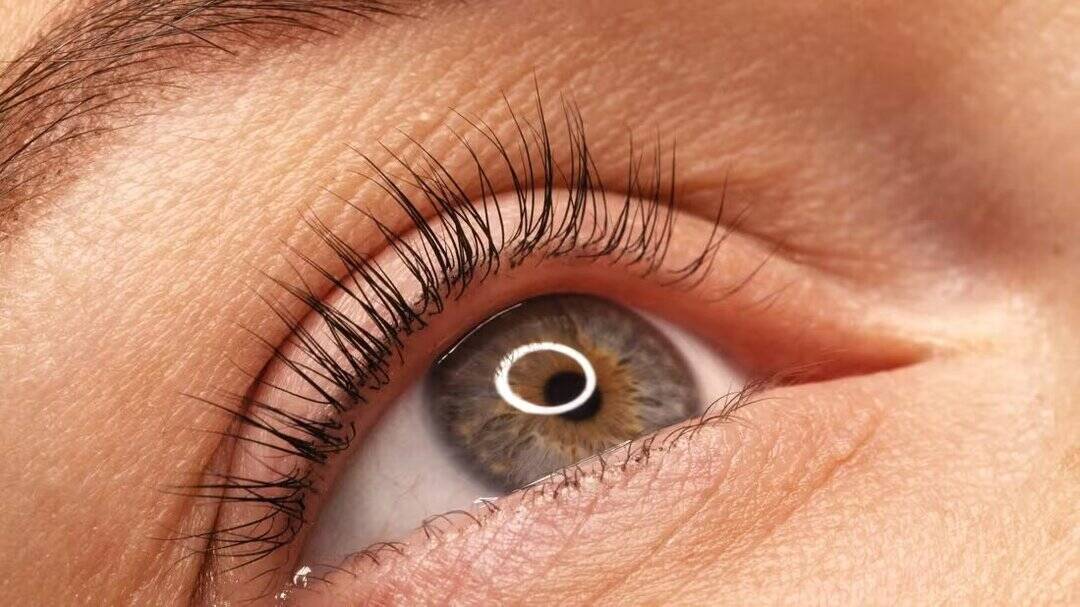 Why should you not cut your eyelashes?
