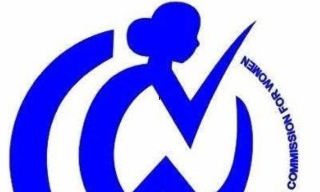 NCW forms 3 panels to review ART and IVF services