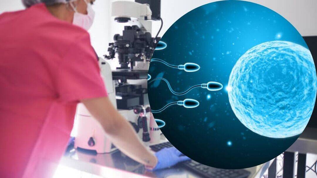 IVF isn't just about age: Fertility experts reveal key signs
