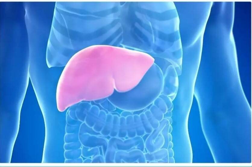 Fatty Liver or Hepatitis: What is the difference?