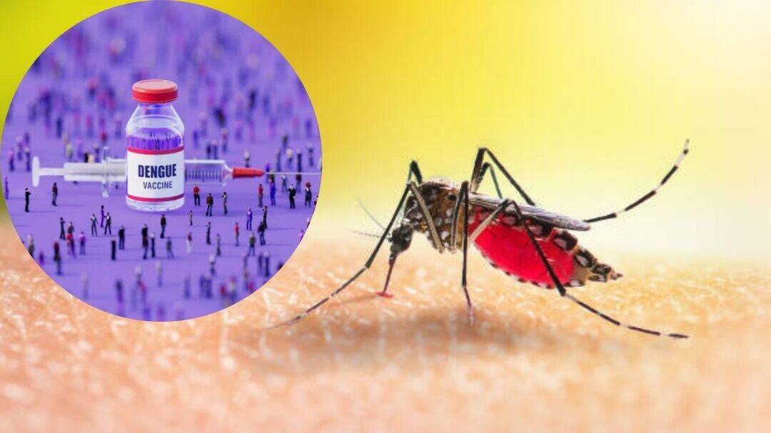 ICMR sounds dengue alarm as 4 strains spread across India 