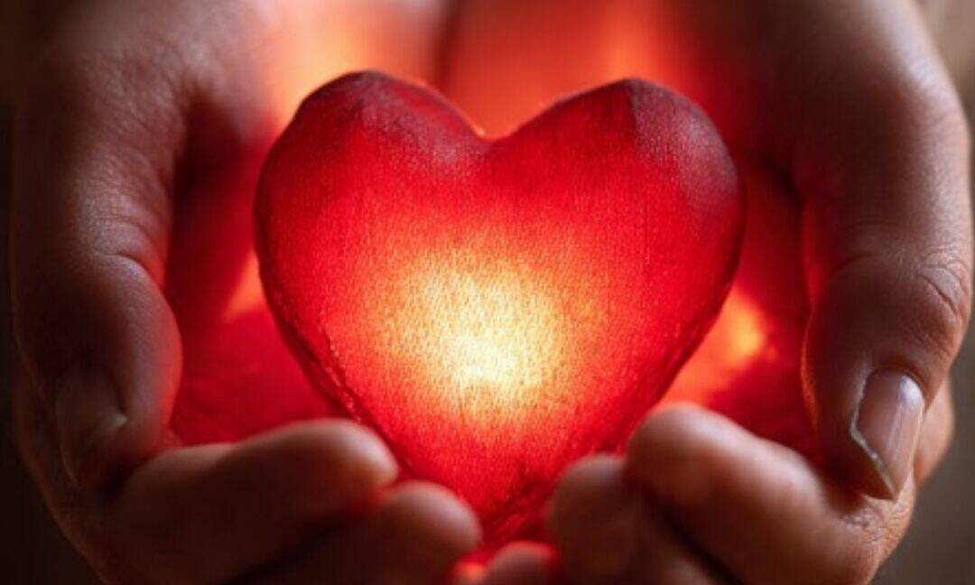 How India's first heart transplant gave new hope