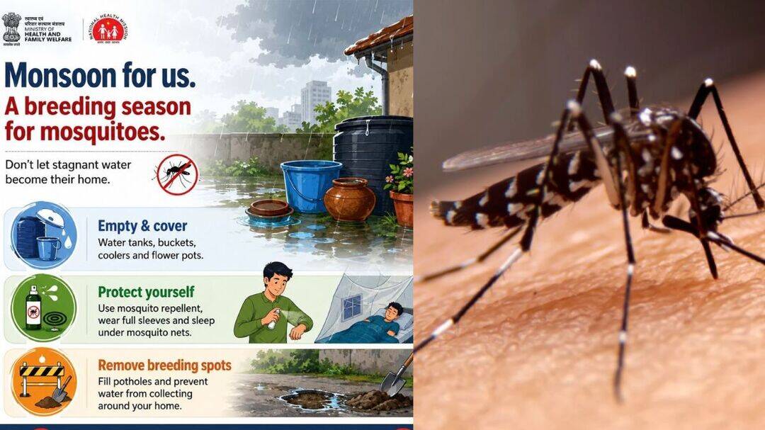 MoHFW shares monsoon tips to prevent mosquito-borne diseases