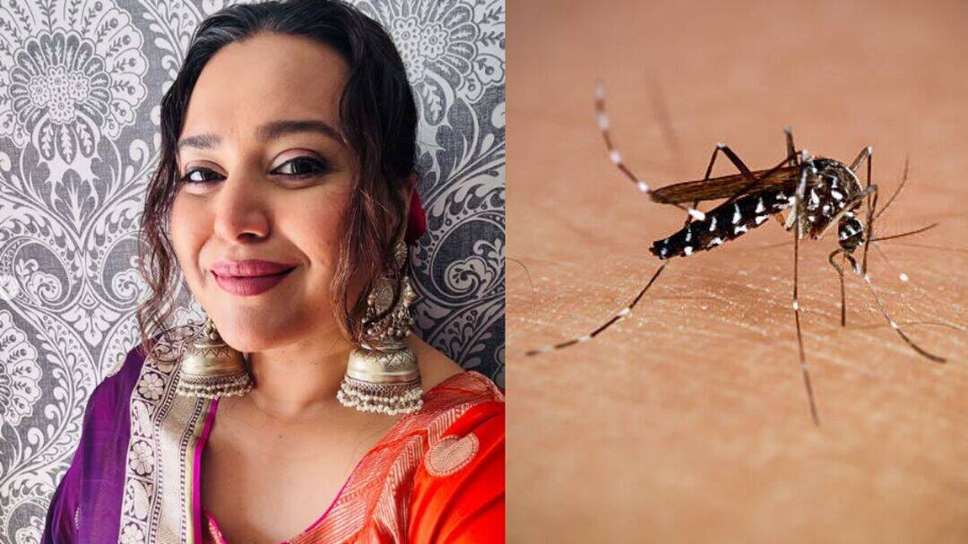 Swara Bhasker hospitalised with dengue: When is it dangerous?