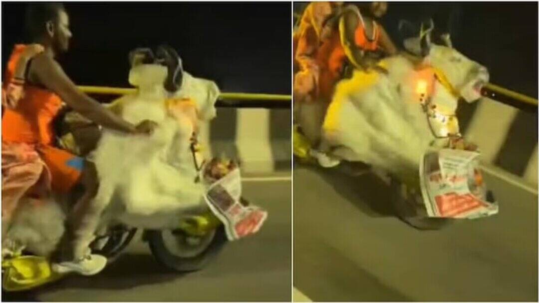 Kanwariyas turn bike into Nandi for Kanwar Yatra, video viral