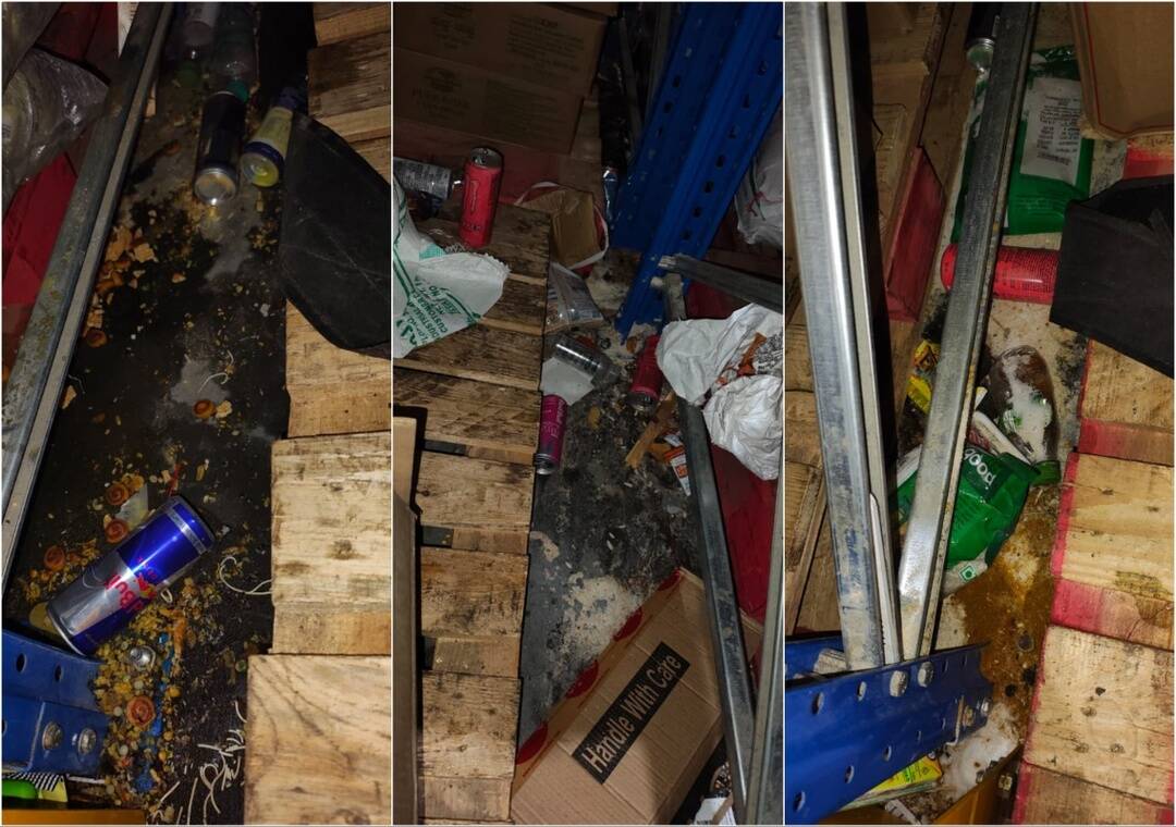 Zepto warehouse found in 'extremely unhygienic' condition near Bengaluru