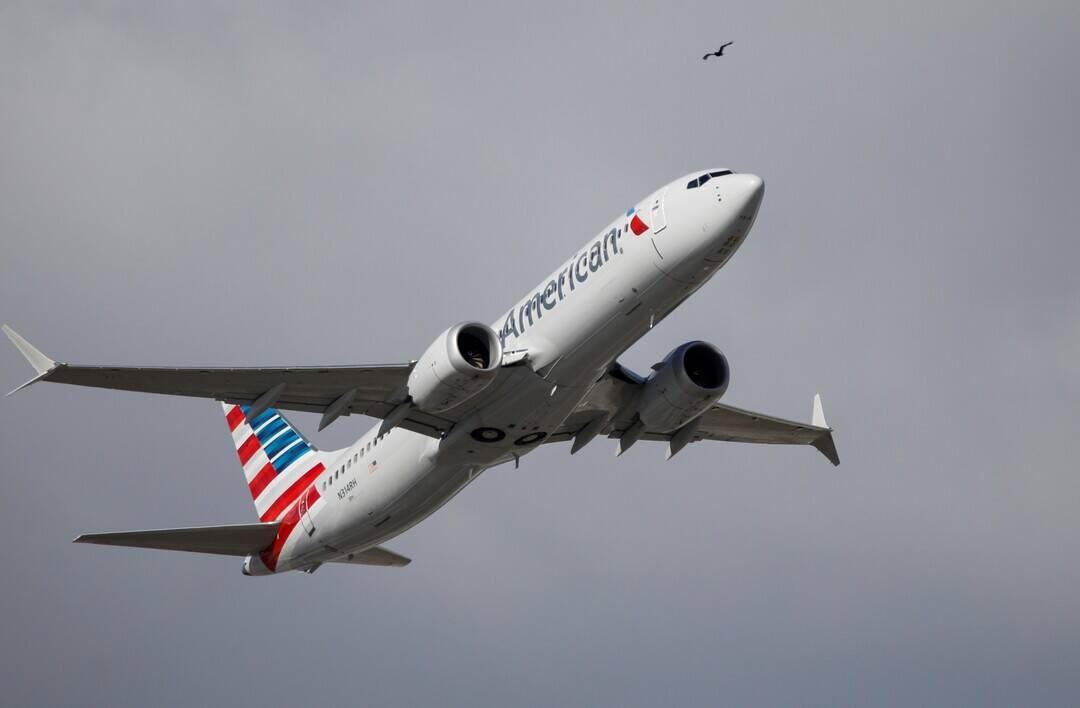 Flames shoot from engine of American Airlines plane after bird hit