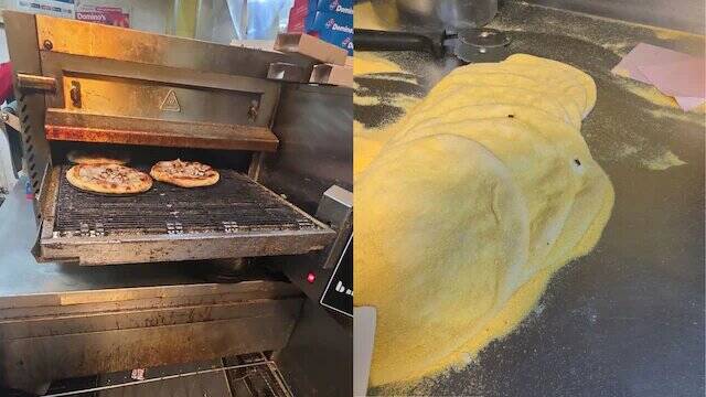 4 Domino's Pizza outlets lose licenses for violating hygiene norms in Maharashtra