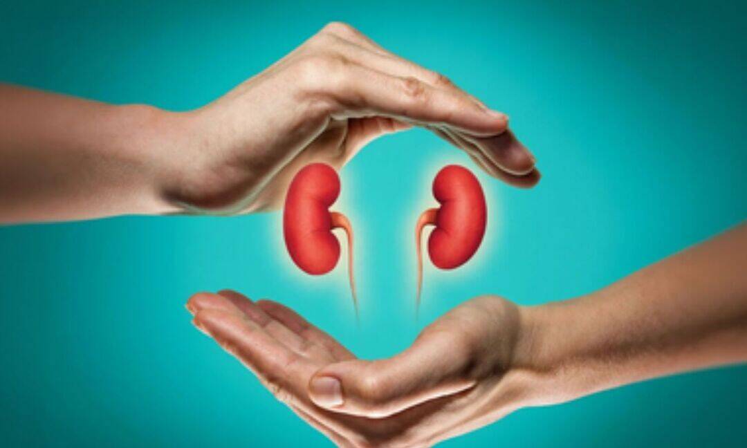 How can one donor give new life to others?