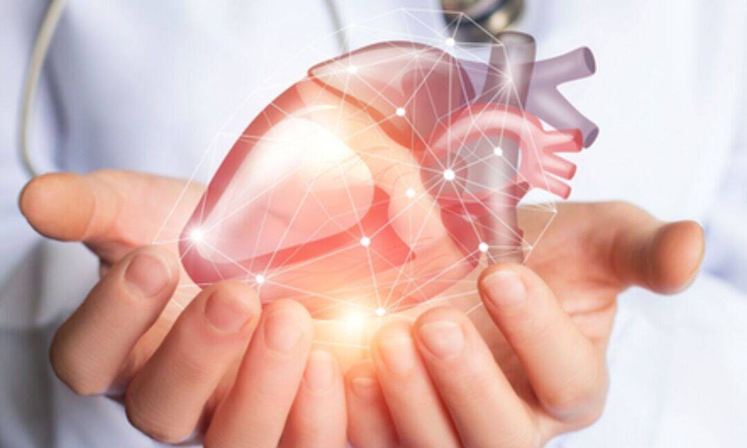 Australian scientists create heart valve tissue using stem cells