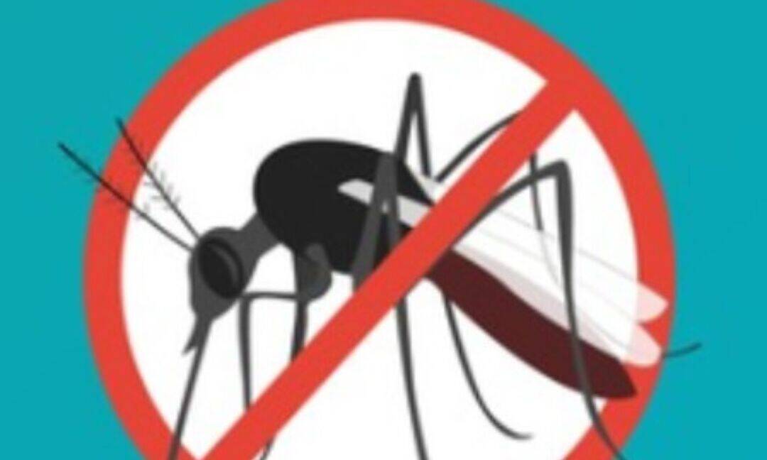 Dengue scare in TN's Chengalpattu as several children hospitalised