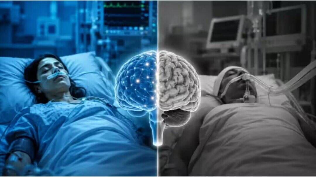 Brain death vs coma: What is the difference?