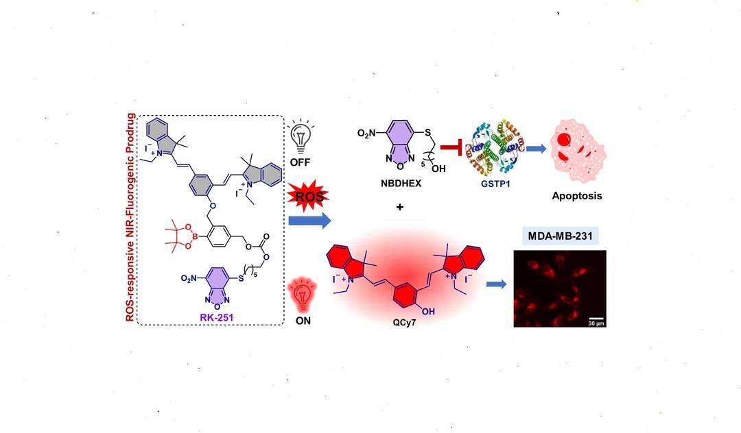 India announces new 'smart' cancer drug that could replace chemotherapy