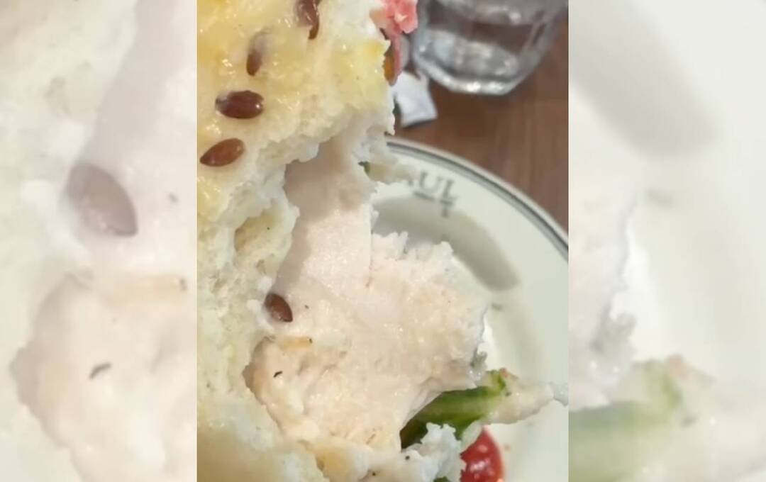 Live worm found in food served at Paul restaurant in Gurugram; customer shares video