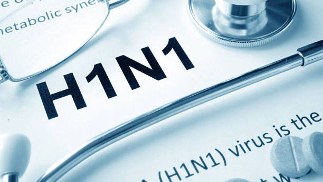 Rajasthan minister Kirodi Lal Meena hospitalised due to H1N1