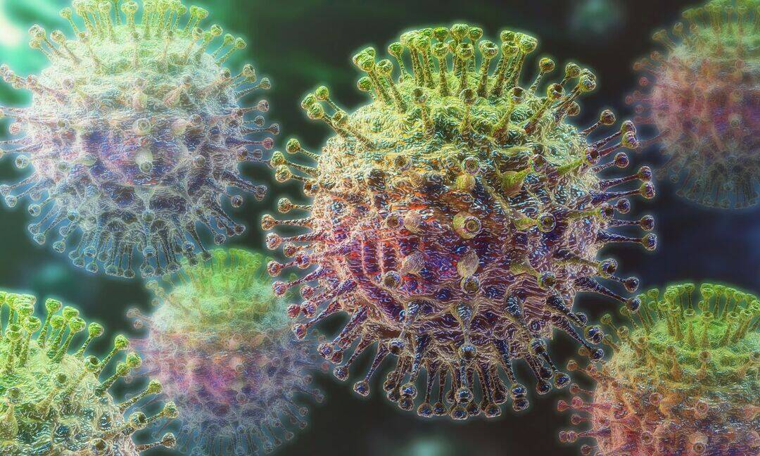 Schools tighten health measures amid rising flu and dengue cases