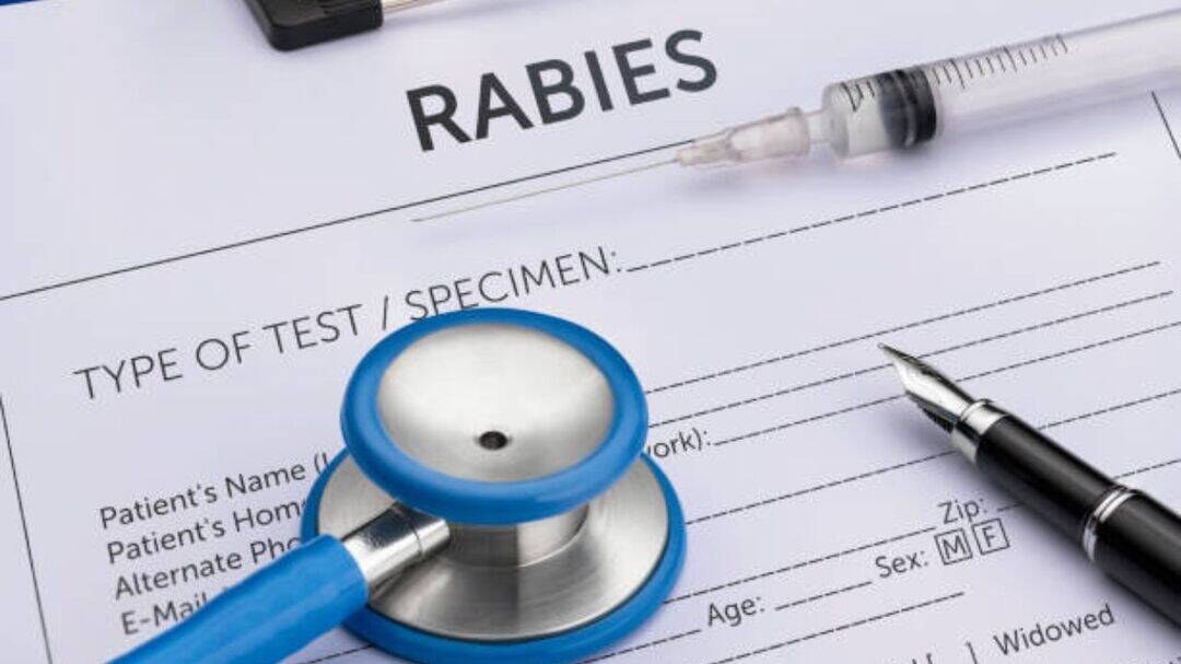 15-year-old survives rabies: How did he beat the fatal disease?