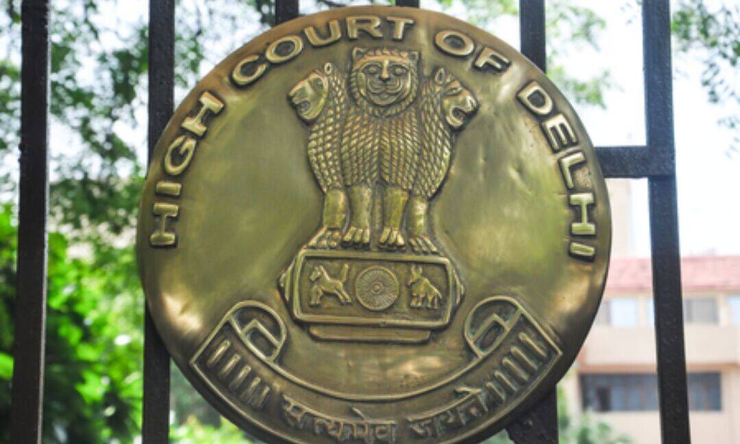 Child need not say 'penetration' to prove rape: Delhi HC