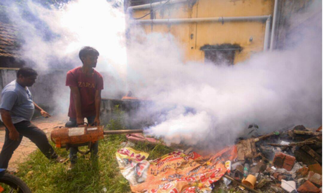 Dengue, swine flu cases rise sharply in Tamil Nadu