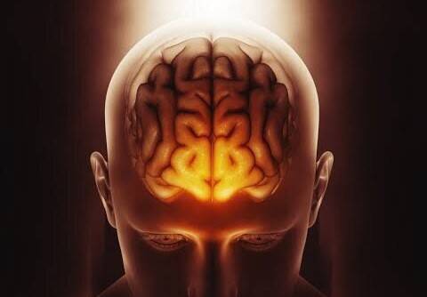Study finds memories change each time we recall them