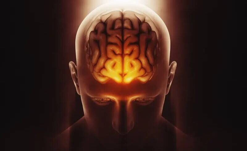 Scientists identify potential brain 'brake' to reduce chronic pain