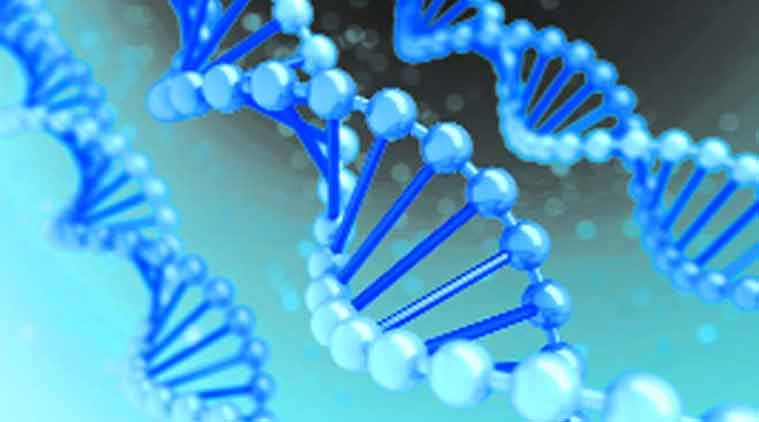 Google unveils AI tool that can map 9 billion changes in human DNA