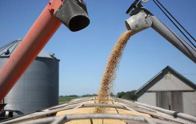 China buys 1 mn tonnes of US soybeans ahead of Xi-Trump meeting