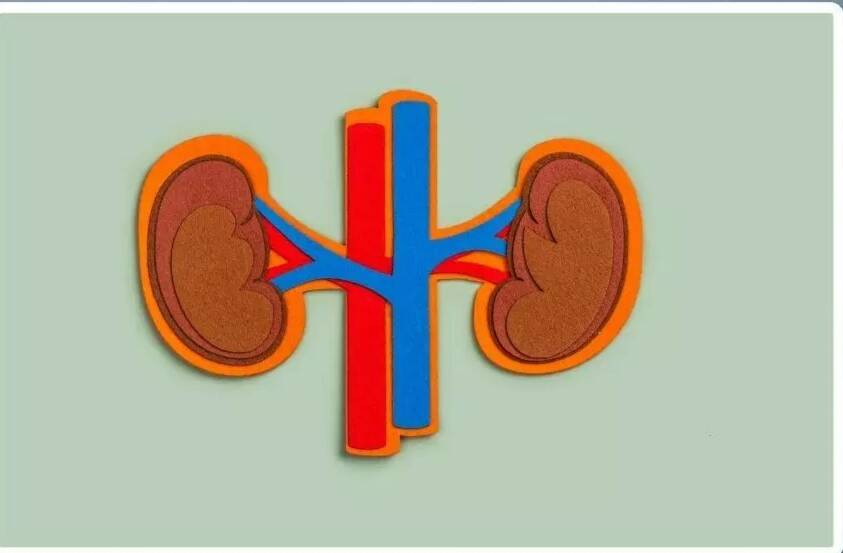 Doctors warn UTI-like symptoms may signal urological cancer