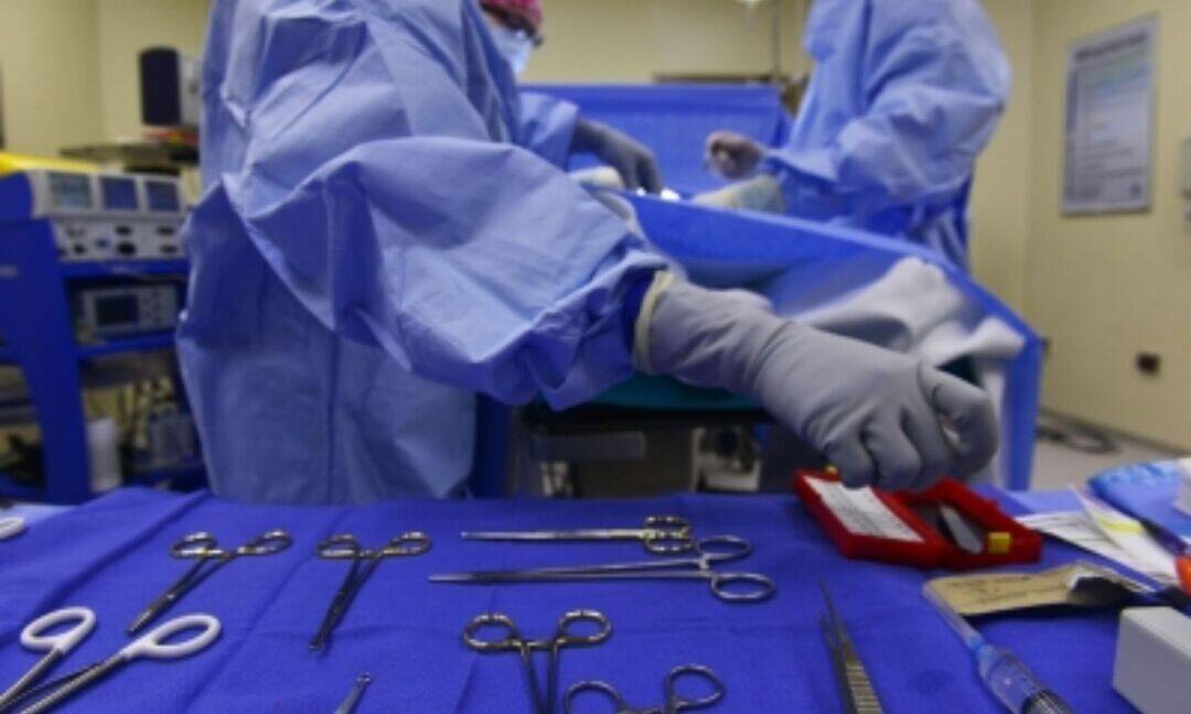 Queer partner can act as medical representative if nominated