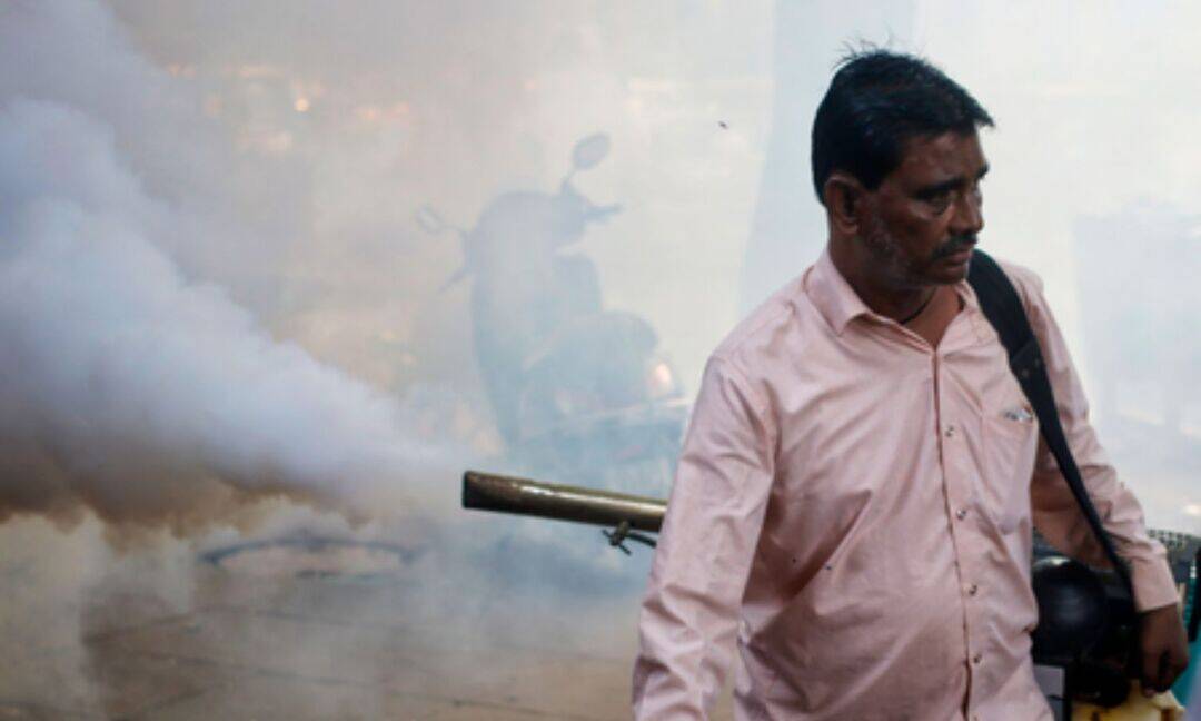Tamil Nadu sees dengue surge as monsoon sets in