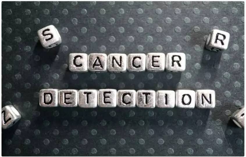 Gynaecological cancers should be viewed beyond the organ: Doctor
