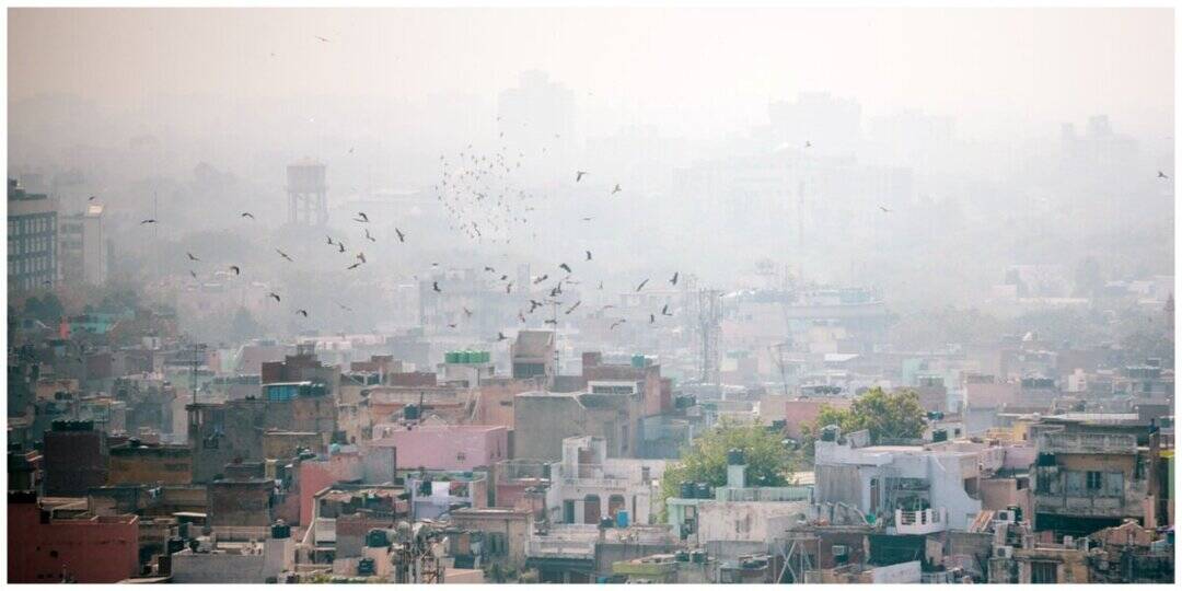 Study links long-term PM2.5 exposure to faster kidney decline