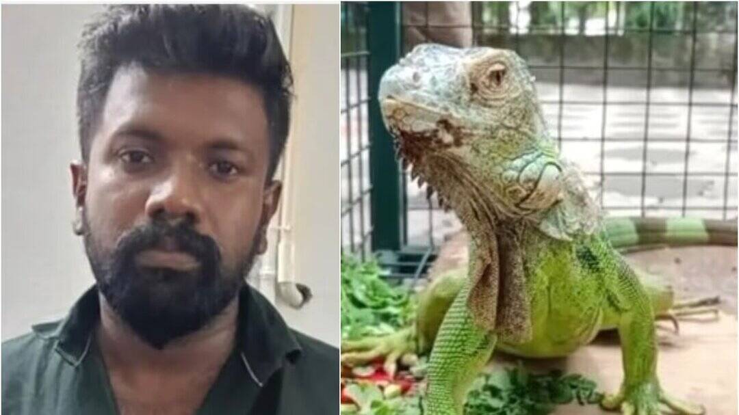 Man held for selling iguana with fake wildlife certificate