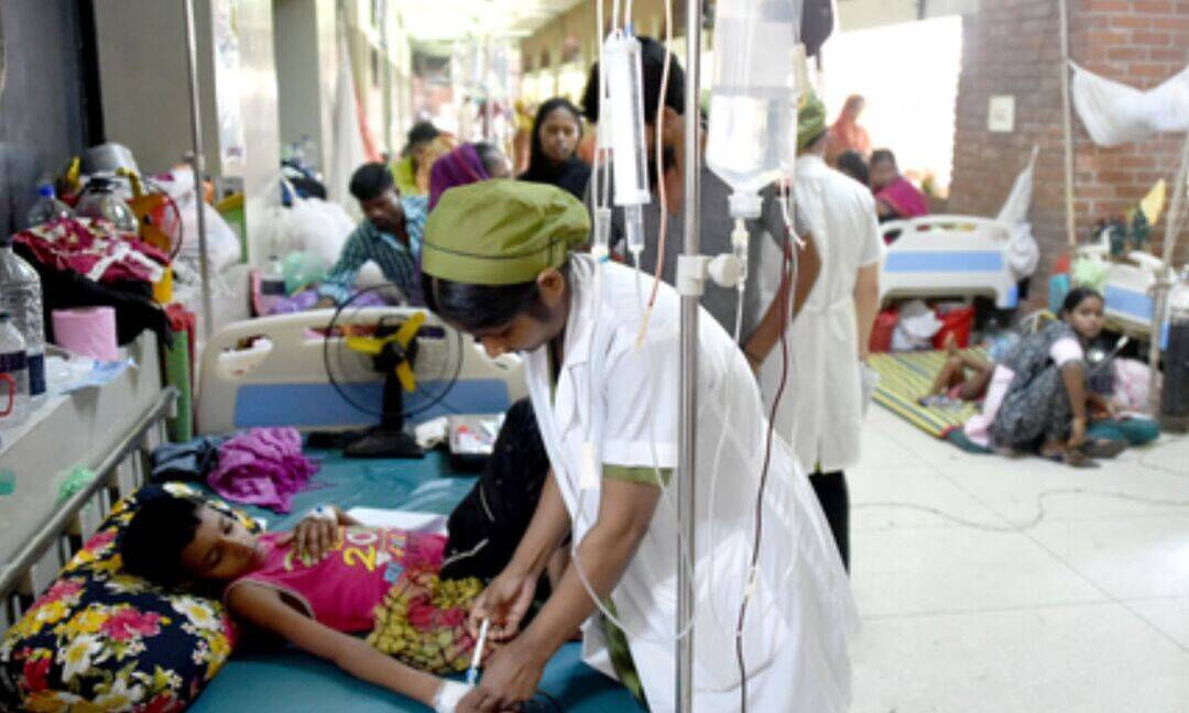 Bangladesh dengue toll hits 239, over 77,000 hospitalised in 2026