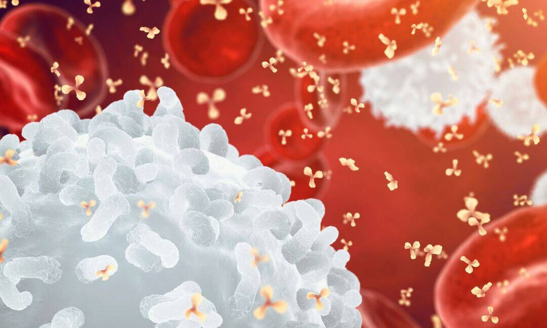 10-year-old Pune girl diagnosed with rare immune disorder