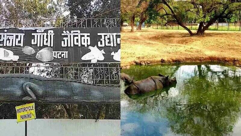 Patna Zoo to get food kiosks & souvenir shop