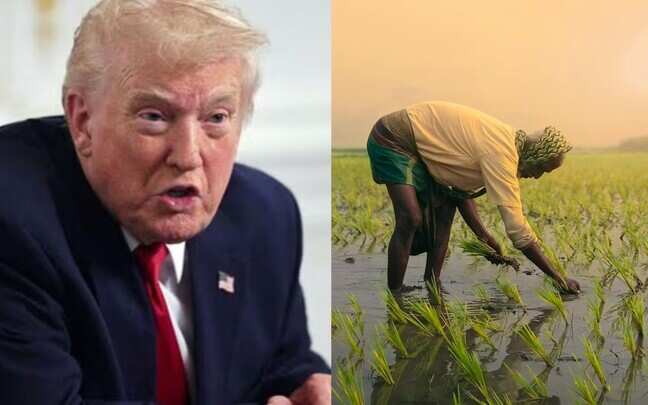 What is rice dumping that Trump has accused India of?