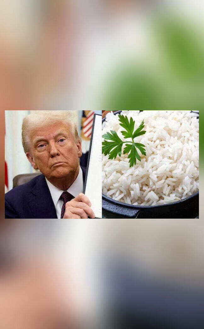 Indian rice exporters respond to Trump's tariff threat over dumping claims
