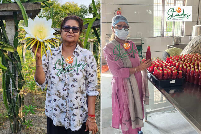 67-year-old woman turns barren land into dragon fruit business hub