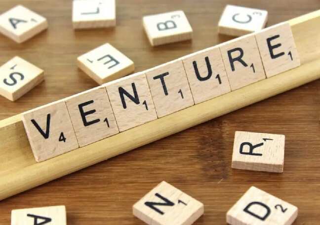 Why venture builders outperform standalone startups