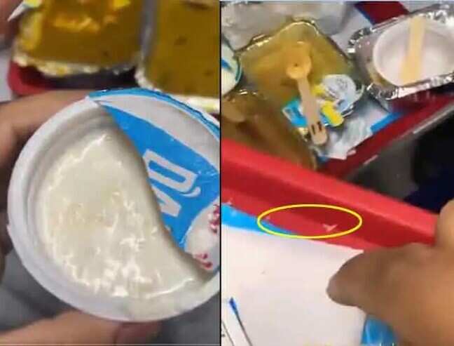 Live worms found in Amul curd, food served on Vande Bharat train; video surfaces