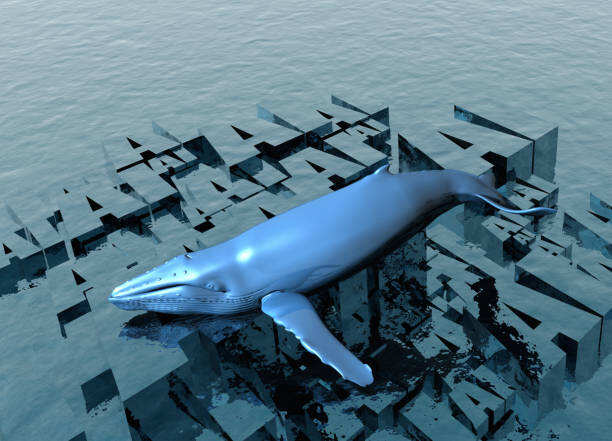 Machi's $1.9M Hyperliquid fees spark debate over trading costs