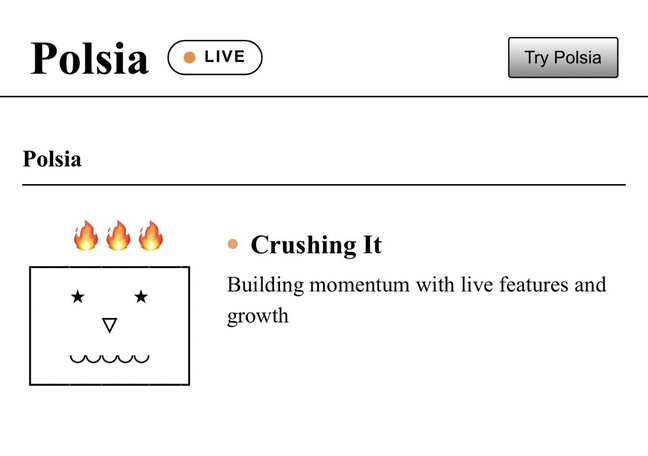 Polsia offers AI Co-founder that can run a company by itself