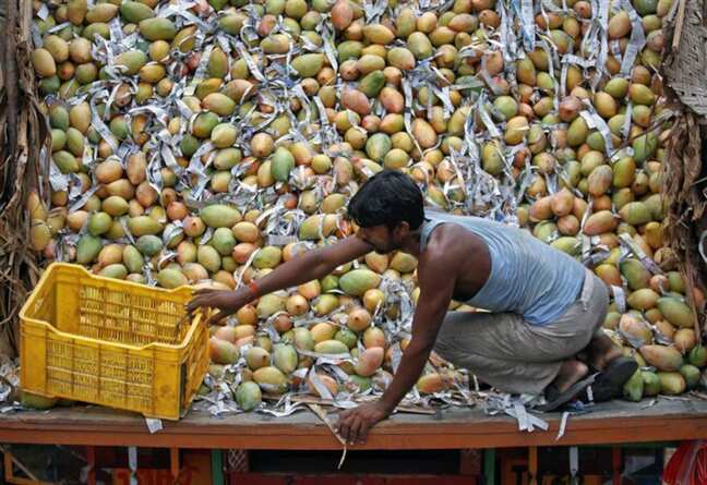 India produces nearly half of world's mangoes, but exports only 1%: Report